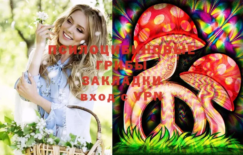 Галлюциногенные грибы MAGIC MUSHROOMS  купить наркоту  Магадан 